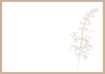 Fototapeta premium Simple background with a beige line pattern depicting sage flowers 