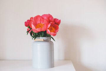 Beautiful bouquet of fresh coral red peony flowers in full bloom in vase against white background. Copy space for text. Mother's day, Birthday card.