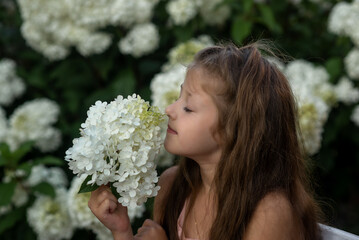 girl  is smelling a bouquet of flowers hydrangeas