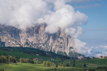 Italy Dolomites in spring time, Alpe di Siusi, green grassland and flowers