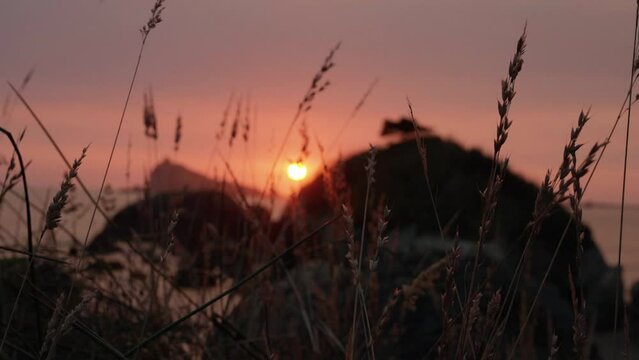 Golden Sunset On the California Ocean Coast