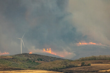 Devastating wildfire in Alexandroupolis Evros Greece, ecological and environmental disaster, smoke...