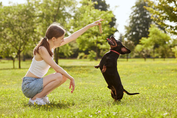 a young girl trains a dachshund dog in the park on a sunny day, a dog with a bone