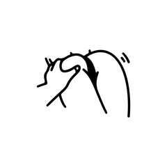 vector illustration of beach wear bikini concept