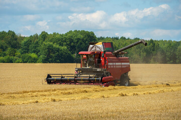 The combine harvester is working in the field. Agro-industrial complex, grain harvest season....