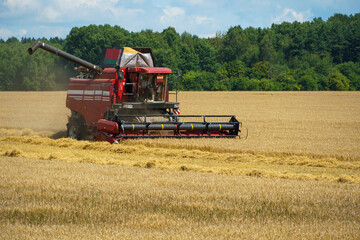 The combine harvester is working in the field. Agro-industrial complex, grain harvest season. Harvesting and harvesting of wheat, flour production. Grain deal.