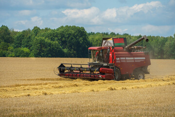 Fototapeta premium The combine harvester is working in the field. Agro-industrial complex, grain harvest season. Harvesting and harvesting of wheat, flour production. Grain deal.