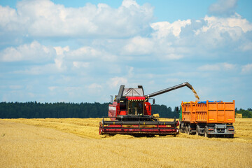 Fototapeta premium A combine harvester pours grain into a truck trailer. Harvesting, harvesting, storage, drying of grain. Flour production. Black Sea Grain Deal.