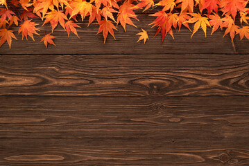 Vintage Wooden Background with Fall Foliage Border