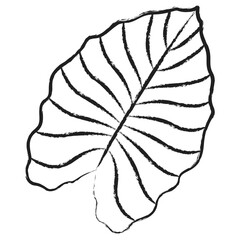 Hand drawn Elephant Leaf icon