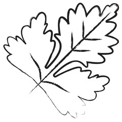 Hand drawn Leaf icon © Icongeek26