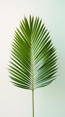 Obraz premium lone palm leaf, emerald green, against a light wall. 
