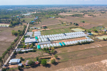 Naklejka premium Aerial top view of tents roof in plant industry farm, green agricultural field in countryside or rural area in Asia. Nature landscape background.
