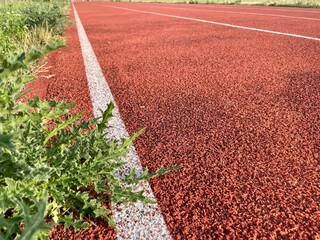 Runnig track or Athlete Track or jogging track or racetrack or running path. Outdoor sport. Jogging at the outdoor stadium. White marking lines on jogging path coverage - Powered by Adobe