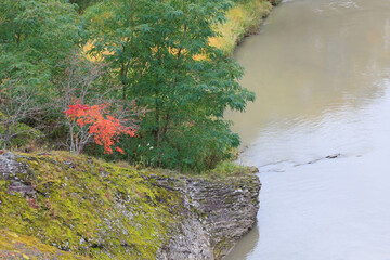 夕張市滝の上公園「秋の北海道」