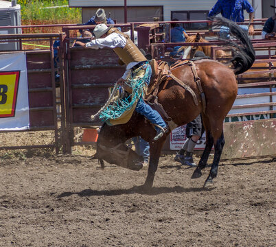 A cowboy is riding a bucking bronco at a rodeo in an arena. The horse has 42legs off the ground. The cowboy is wearing blue with a helmet. There is a red metal gate behind. They are in a dirt arena.