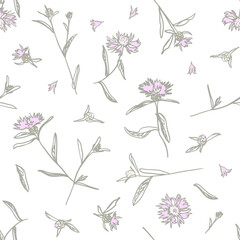 Cornflowers with petals and leaves in pastel colors on white background. Brown knapweed. Blossom wildflowers for wallpaper, textile, wrapping paper. Sketch style. Hand drawn vector seamless pattern - 638164632