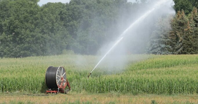 Field irrigation with spraying unit and hose reel, rape field near Hitzacker, Lower Saxony, Germany, Europe