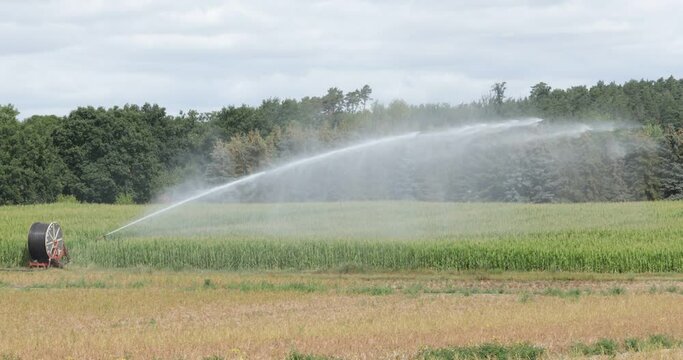 Field irrigation with spraying unit and hose reel, rape field near Hitzacker, Lower Saxony, Germany, Europe