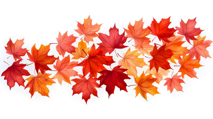autumn maple yellow and orange leaves ornament on white background raster picture.