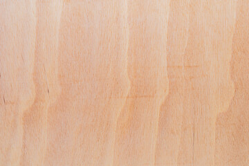 Light rough textured cut surface of an African tree. Wood background or blank for design