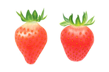 Set of red strawberries isolated on transparent background. Watercolor hand drawn illustration. For advertising, packaging, menus, invitations, business cards, postcards, printing.