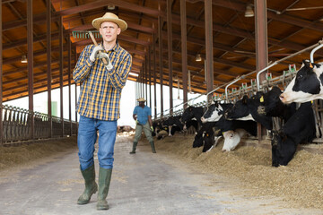 Portrait of young male farmer walking through a cowshed holding a rake slung over his shoulder. Close-up portrait