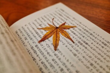 紅葉の栞