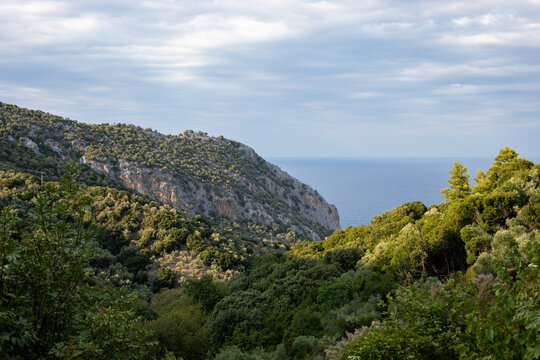 view from the forested hills of Skiathos Island, Greece