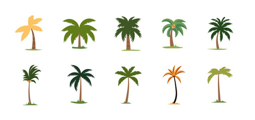Cute palm tree and coconut tree illustration set, collection of exotic plants flat vector image © logomimi