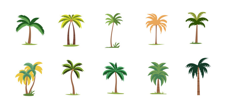 Colorful palm trees set, cartoon flat illustration vector