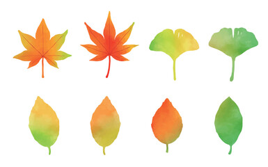 カラフルな秋の葉の手描きイラストのセット　銀杏_カエデ_紅葉_自然