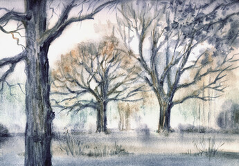 Watercolor landscape with oak trees in the fog. - 638201462