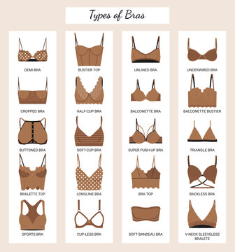 Types of bras. Big vector set of lingerie.