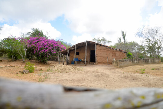 old house, landscape with tree, house in the countryside, simple country house, house in the interior of brazil, Brazilian Northeast, mud house, rammed earth, pug, rural landscape, horizontal image