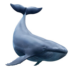 blue whale isolated on white background generative AI