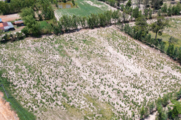 Aerial top view of fresh paddy rice, green agricultural fields in countryside or rural area in Asia, Thailand. Nature landscape