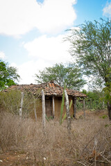 landscape with tree, house in the countryside, simple country house, house in the interior of...