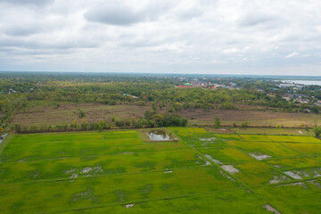Aerial top view of fresh paddy rice, green agricultural fields in countryside or rural area in Asia, Thailand. Nature landscape