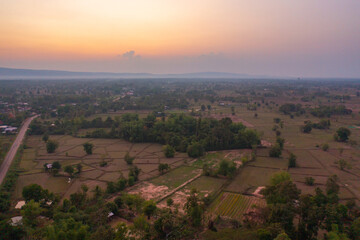 Fototapeta premium Aerial top view of fresh paddy rice, green agricultural fields in countryside or rural area in Asia, Thailand. Nature landscape