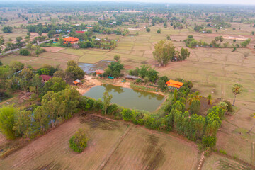 Aerial top view of fresh paddy rice, green agricultural fields in countryside or rural area in Asia, Thailand. Nature landscape