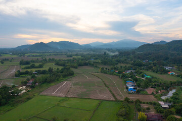 Aerial top view of fresh paddy rice, green agricultural fields in countryside or rural area in Asia, Thailand. Nature landscape