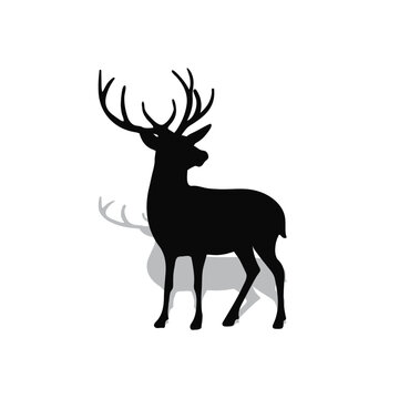 Deer silhouette, wild deers – male, female and roe deer © Haruki Yui