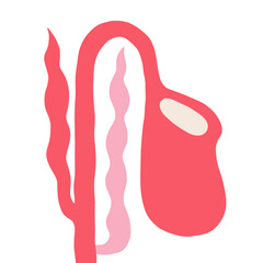 Minimal pink flower png