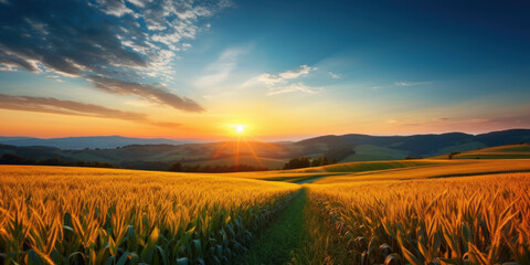 In the rays of the autumn dawn, the countryside on a hilly landscape and a field of corn. AI Generation 