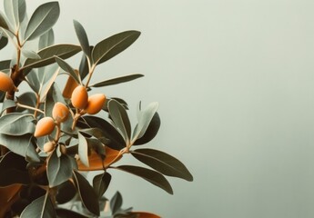Bronze Brown Minimalist leaves on a pale orange flat background wall — Plants — interior design graphic resource with film grain realism