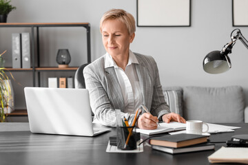 Mature businesswoman working  in office