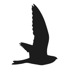 eagle Icon Illustration