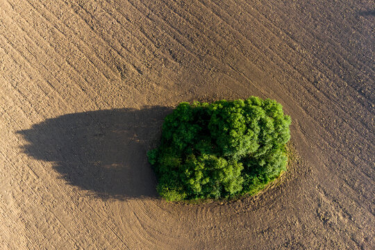 Aerial View Of A Plowed Field With Intact Green Trees