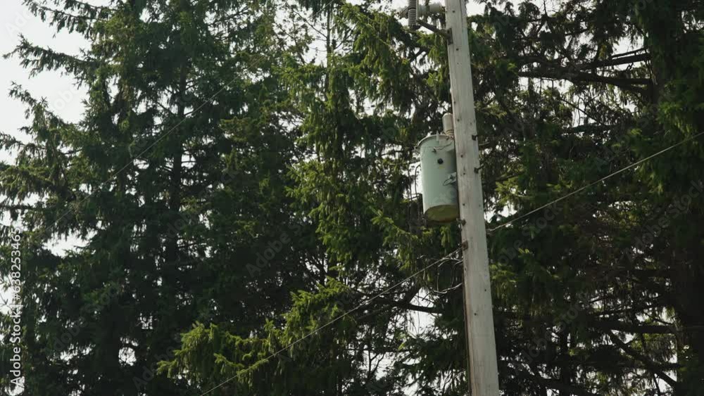 Poster power pole transformer box and line, wind blowing in pine trees behind